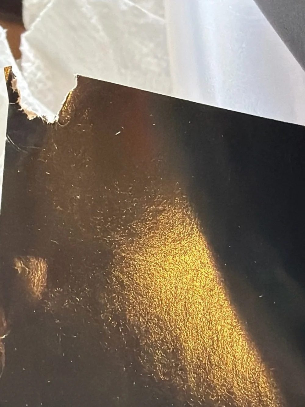 Vintage 1990 Budweiser Heavyweight Championship Boxing Poster
